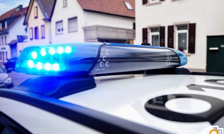 Grünstadt – Zeugenaufruf nach Diebstahl von PKW-Katalysator
