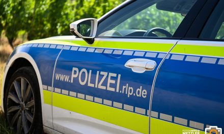 Dirmstein – Mit Leichtkraftrad von Fahrbahn abgekommen – Zwei Leichtverletzte