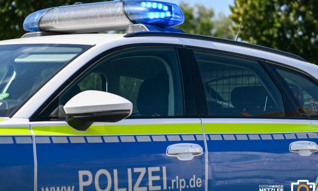 Bad Dürkheim –  Auto Scheibe vor Krankenhaus eingeschlagen